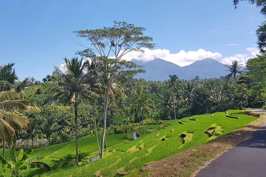 Bali Gunung Batukaru